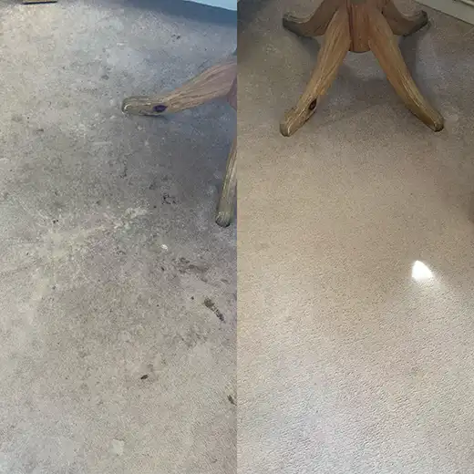 Carpet Cleaning Nottingham